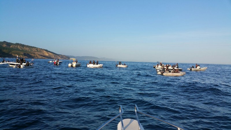 Campeonato Navarro por equipos y Open Navarro "por especies"